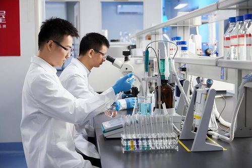 共同富裕視角下技術(shù)人才薪酬機制的社會主義思考